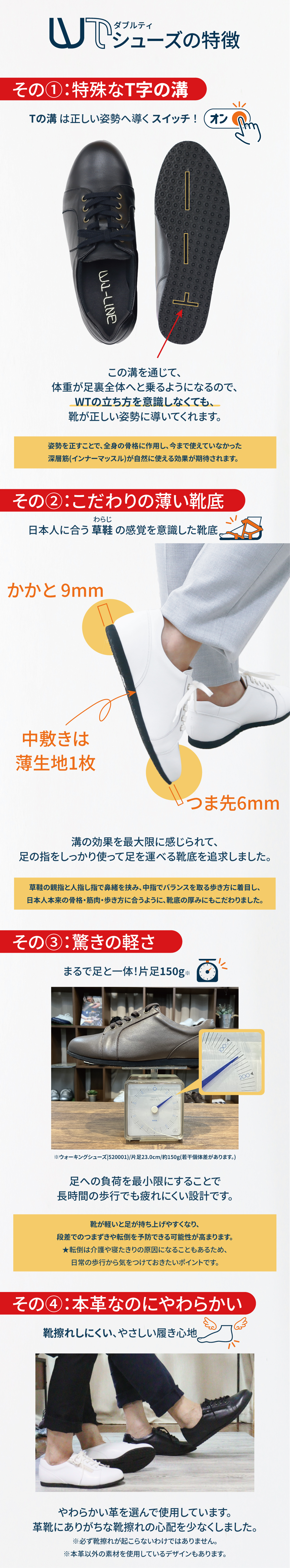 WTシューズの特徴